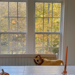 Yes, it is autumn..🍁🍂🎃
창밖이 노랗게 붉게 물들기 시작하는 계절에
삶이 더 포근해지는 것을 느끼며-
#halloween #autumn #halloweendecor #falldecor #autumndecor #halloweenvibes #spookyseason #fallfun #homefortheholidays #fallvibes #simplefall #fallinspiration