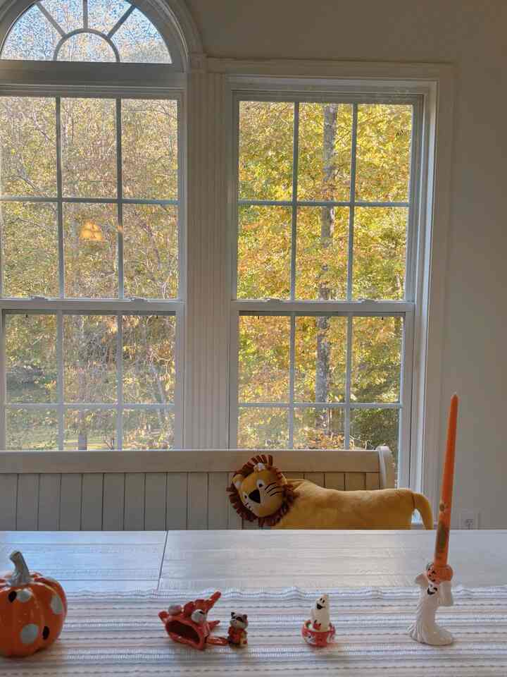 Yes, it is autumn..🍁🍂🎃

As the outside begins to turn yellow and red,
I feel life becoming warmer -

#halloween #autumn #halloweendecor #falldecor #autumndecor #halloweenvibes #spookyseason #fallfun #homefortheholidays #fallvibes #simplefall #fallinspiration