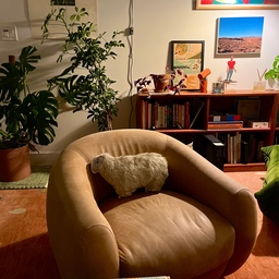 Lounging and reading art books and novels 
#livingroomdecor #loungechair #MCM