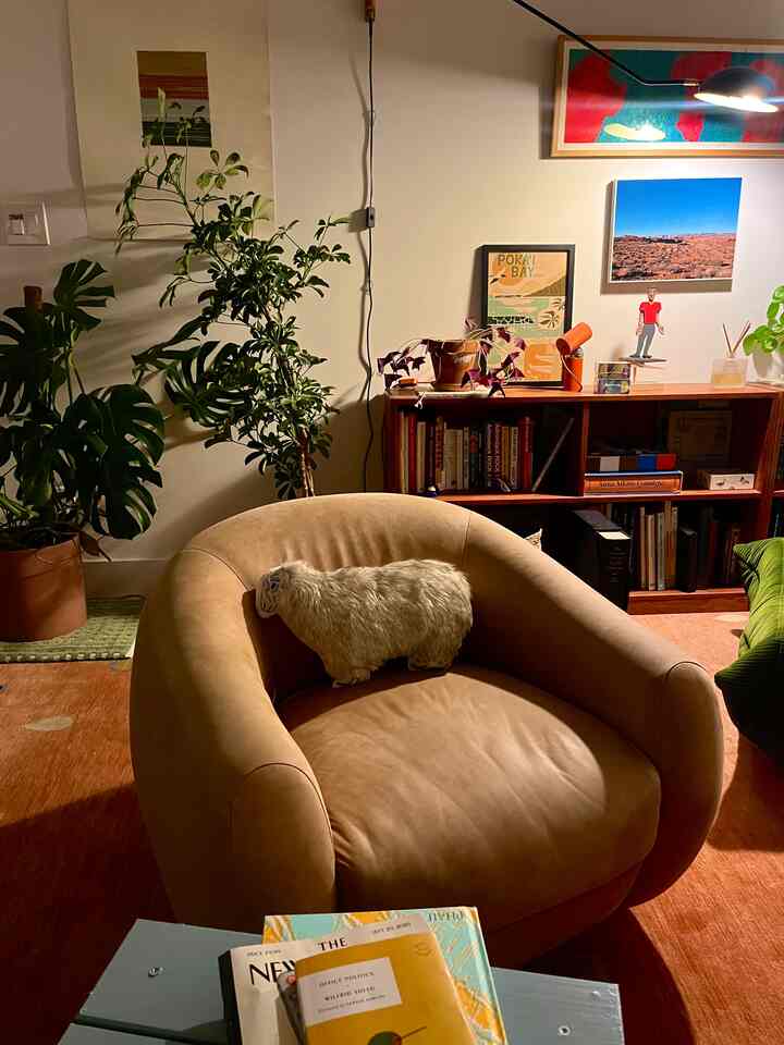 Lounging and reading art books and novels 
#livingroomdecor #loungechair #MCM