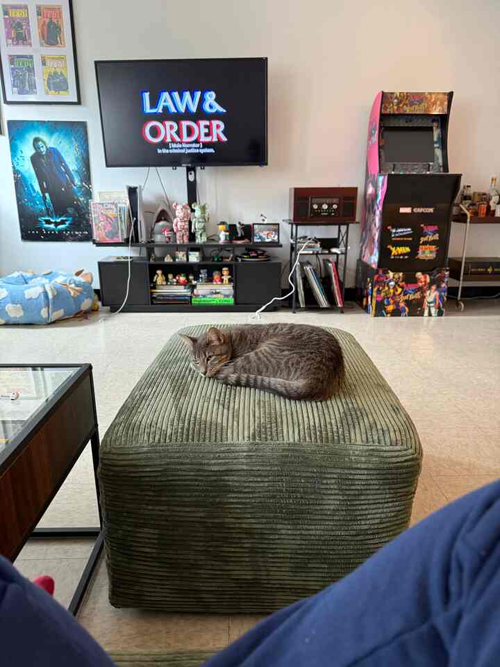 Green ottoman with a resting cat in a living room featuring a game room arcade machine and home cinema setup