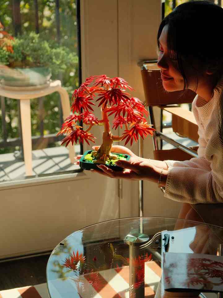 Check out this beautiful Bonsai tree gifted to me by my lovely girlfriend :)

Highly recommend using LEGO sets as playful decor in your home!

#honestreview #playfuldecor #LEGO #falldecor #fallvibes