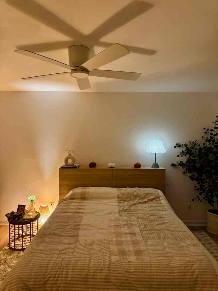 Our beige guest room got a little makeover! 🤭

Since my baby’s playroom needed more space for her toys, the faux tree had to move out — and I didn’t want to waste such a pretty piece 🌿 

I ended up placing it in the guest room, and it completely transformed the vibe. It adds such a calm, cozy touch — especially at night with all the soft lights on ✨

#budgetfriendly #falldecor #fallvibes #autumndecor #simplefall #fallinspirstion #cozy #cozyvibes #cozyhome #homedecor #interior #bedroom #WoodInterior #woodeninterior #beige #beigeinterior #beigetone 