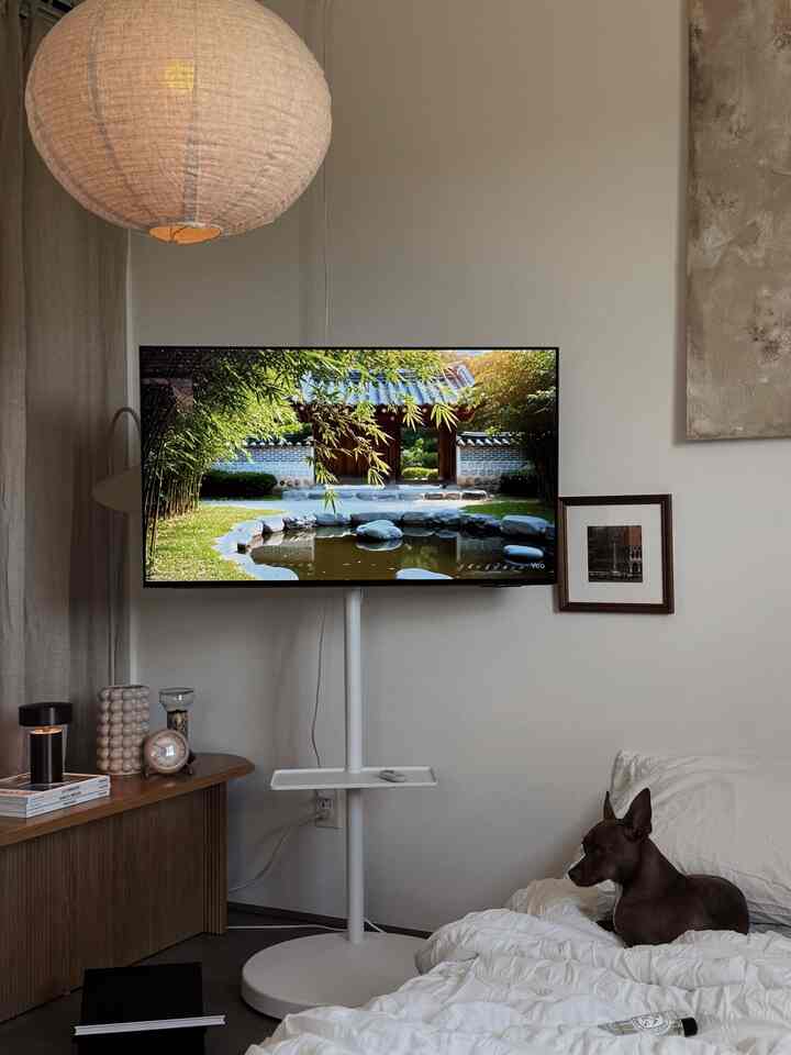 ホワイトとブラウン調のモダンな寝室、ベッドに犬がおり、テレビスタンドや自然素材のインテリアが配置された雰囲気のある空間