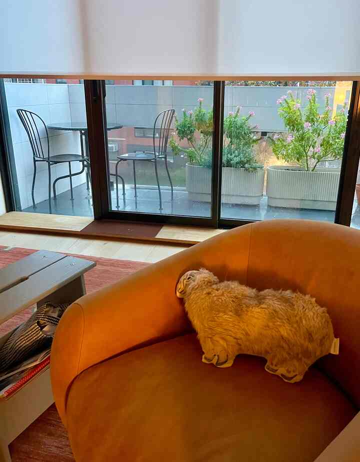 Bunga-bunga yang kudapatkan dari musim semi tak pernah berhenti mekar sejak aku mendapatkannya, bahkan di hari-hari yang dingin dan berangin!
#dekorasiruangtamu #terracedecor #loungechair