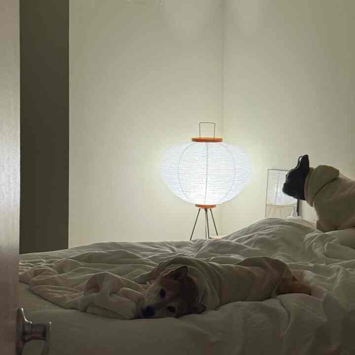 Tagged posts featuring Modern Boho Duvet Cover Set 2