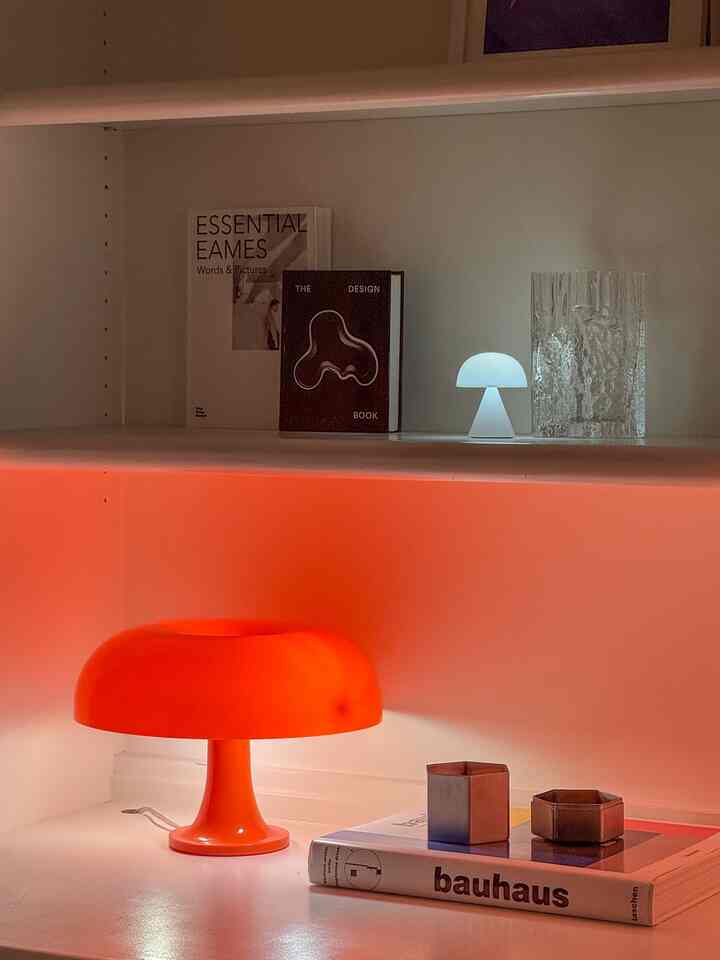 Hanya untuk sudut kurasi🧡
.
.
.
#lampu #shelfie #shelf #shelfinterior #shelfdecoration #portablelamp #coffeetablebook #mushroomlighting #moodlight #moody #cozycorner
