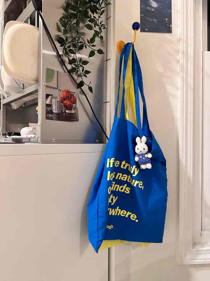 Got a cute keyring and a bag as a gift 🎁
Slowly growing my little MOMA eco bag collection 🩵🌿
#moma #ecobag #simplevibes #giftday #shoppingbag #miffy #minimalliving #MidnightSnack 