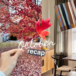 October recap🍁
A month full of small joys and cozy moments.
#cozycorners #cozyvibes #cozyhome #homeaesthetic #cozyliving #cozydetails #warmspaces #calmspaces #mycozyhome #fallcozyvibes