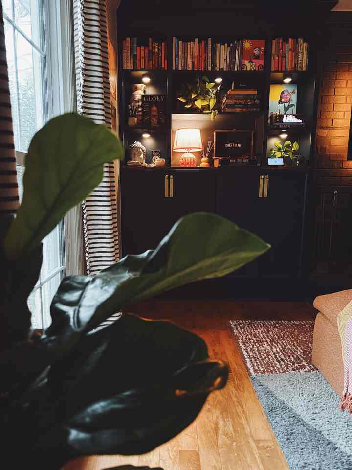 Midday Views…
#cozy #homedecor #plants #diy #bookshelf #moody