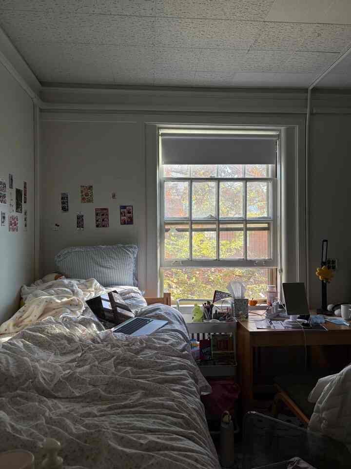 cozy fall vibes #college #fall #dorm #brown