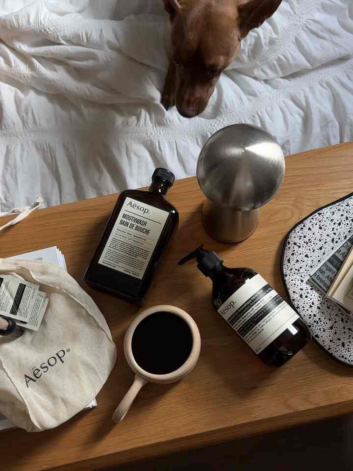 Natural wood tone bedroom side table featuring dog and Aesop handwash and mouthwash bottles creating a cozy atmosphere