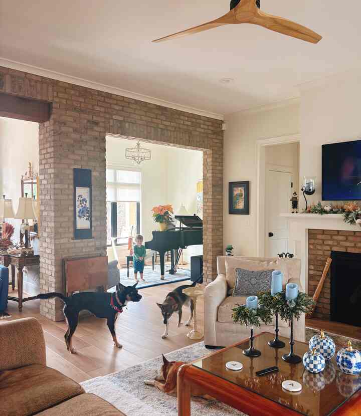 I’ve gotta say, these doggies really own this place and..we all are okay with that except my little one 😉🐶🫶🏻

#autumn #thanksgiving #cozyvibe #cozyhome #farmhouse #cottagecore #dog #familyroom #livingroom