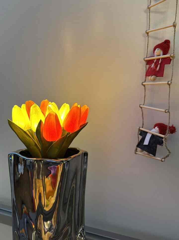 One tulip bouquet lamp, endless warmth💐❤️
#ohouse #lamp #lighting #ohousepurchase #cozycorner #ohouseglow