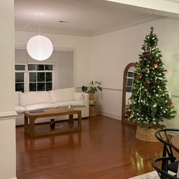Finally put up our Christmas tree!🎄✨
#christmastree #livingroominterior #minimal #woodandwhite #cozy #winterdecor #ohousetree