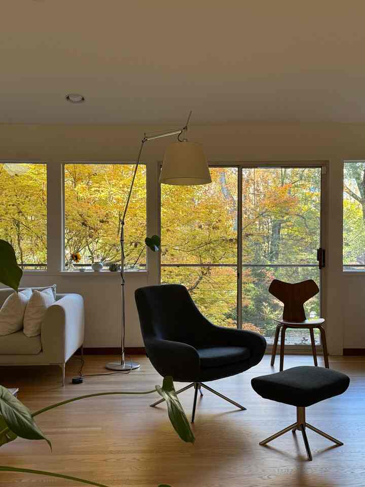 When the Green Maple tree turns yellow. #fall #fallmood #livingroom #livingroomdecor #artemide 