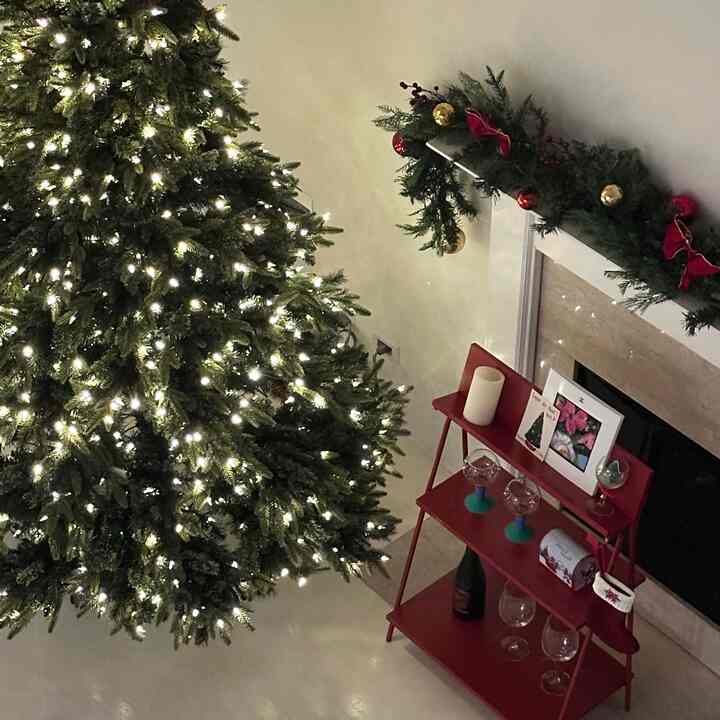 The tree is still bare without any ornaments, but there’s a quiet charm in this simplicity 🎄

#OhouseGlow #holidayhosting #christmas #christmasvibe #tree #moodlighting  #cozycorners #glowseason #homeinspiratio #homegratitude #cozyvibes 