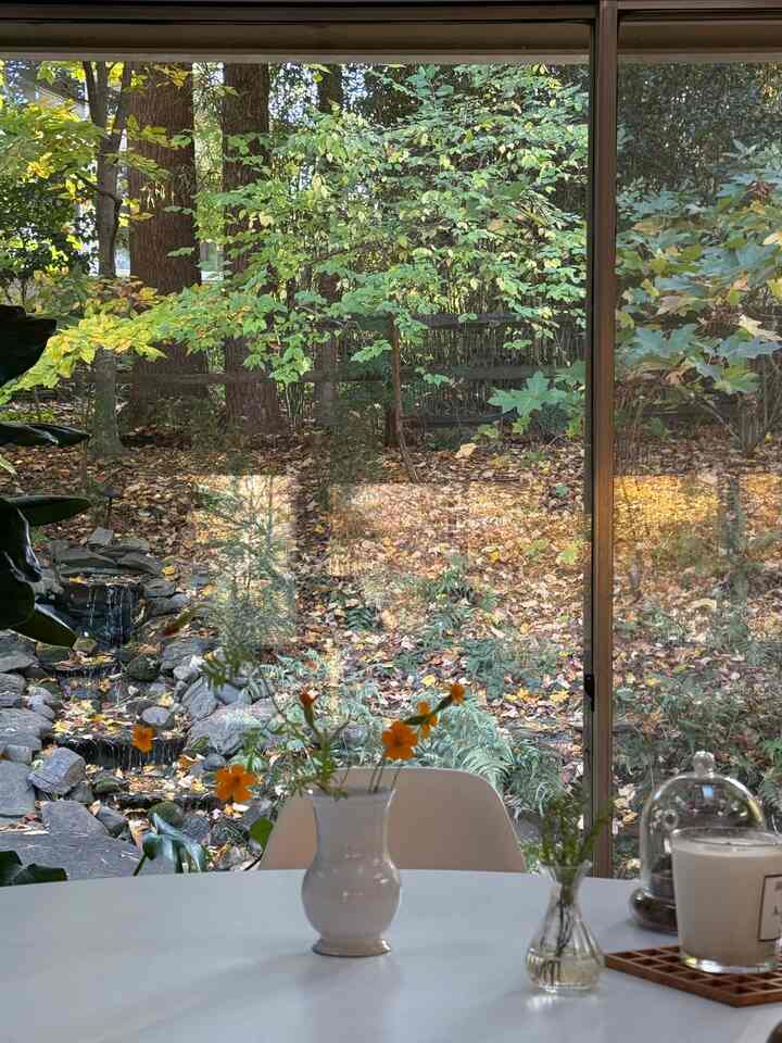 Marigold flowers from my backyard #flowers #gardenflowers #diningroom
