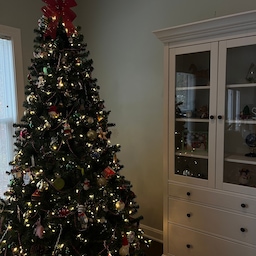 i will always love a tradtional christmas #christmas #christmastree #christmasdecor #decor #holiday #ohouseholiday