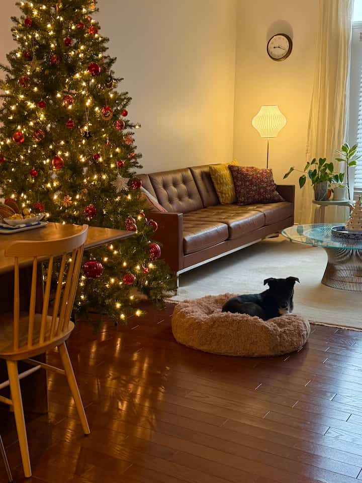 Warmly lit living room with wood-tone floor, featuring a Christmas tree and a dog bed creating a cozy atmosphere