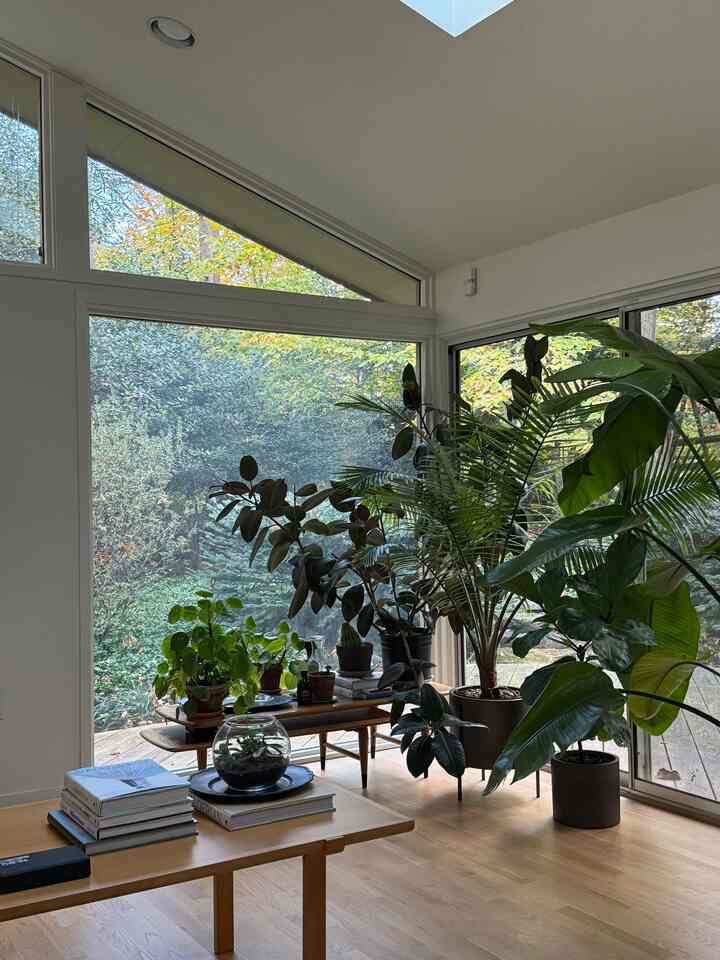 Indoor plants and backyard view
#masterbedroom #bedroom #indoorplants #plants #planterior