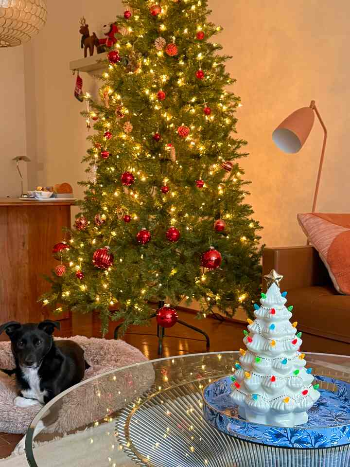 Warmly lit living room featuring a decorated Christmas tree with red ornaments, brown sofa, and a black dog lounging on a pet bed
