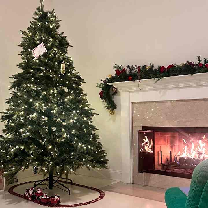 Keeping the Christmas tree simple for now.
There’s something quietly beautiful about it in this winter light.
Still thinking about how I want to decorate it this ☺️☺️

#OhouseTree
#OhouseGather #OhouseGlow #CozyHome
#ChristmasTree #christmas #tree #christmasmood