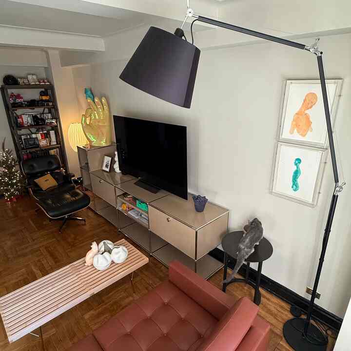 Beige-toned living room featuring modern furniture, sofa, and wall art with a cozy atmosphere for living with a cat