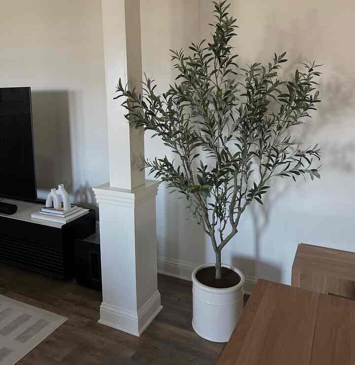 Ivory-toned living room featuring a TV stand and a large plant in a natural ambiance
