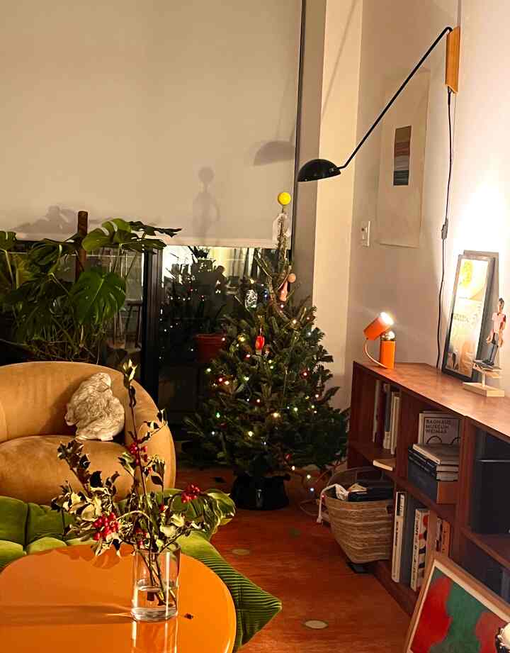 Tagged posts featuring 100ct Incandescent Smooth Mini Christmas String Lights 3