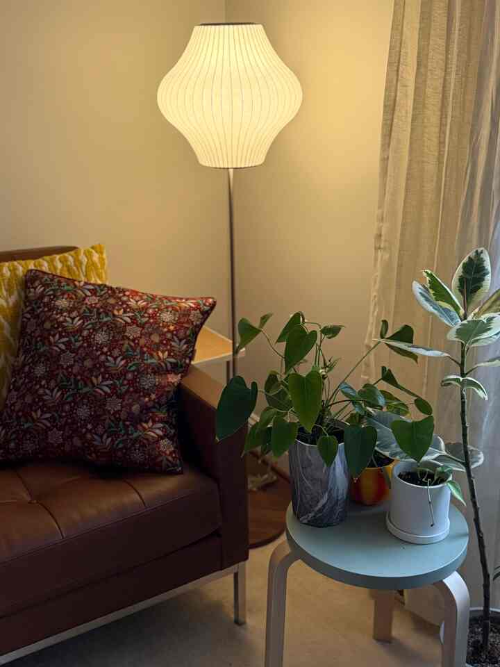 Love the new pillowcase I picked up in Prague❤️

#CozyHome #warm #christmas #holidays #homedecor