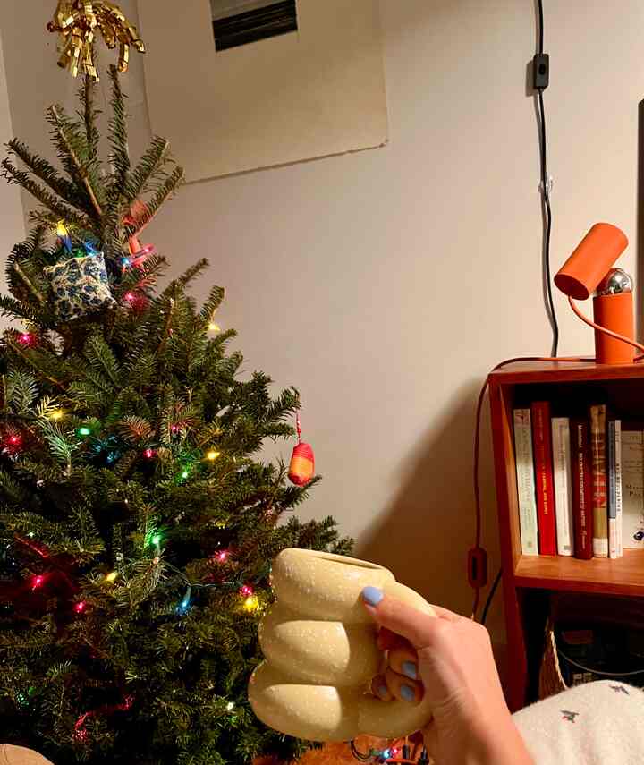 Tagged posts featuring 100ct Incandescent Smooth Mini Christmas String Lights 2