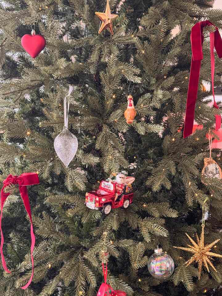 Just a few of my favorite ornaments🎄♥️
.
.
.
#OhouseGrateful #cozyvibes #thankfulathome #mindfulmoments #christmasornament #christmastree #christmasdecor #christmasinspo