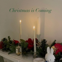 Christmas garland setup complete.
The soft glow, the quiet warmth —
it already feels like the most wonderful time of the year.
I can’t wait for Christmas 🤍
#OhouseGather #OhouseGlow #CozyHome
#moodlighting  #cozycorners #glowseason #homeinspiratio #homegratitude #cozyvibes #thankfulathome #mindfulmoments #OhouseTree #tree #christmas