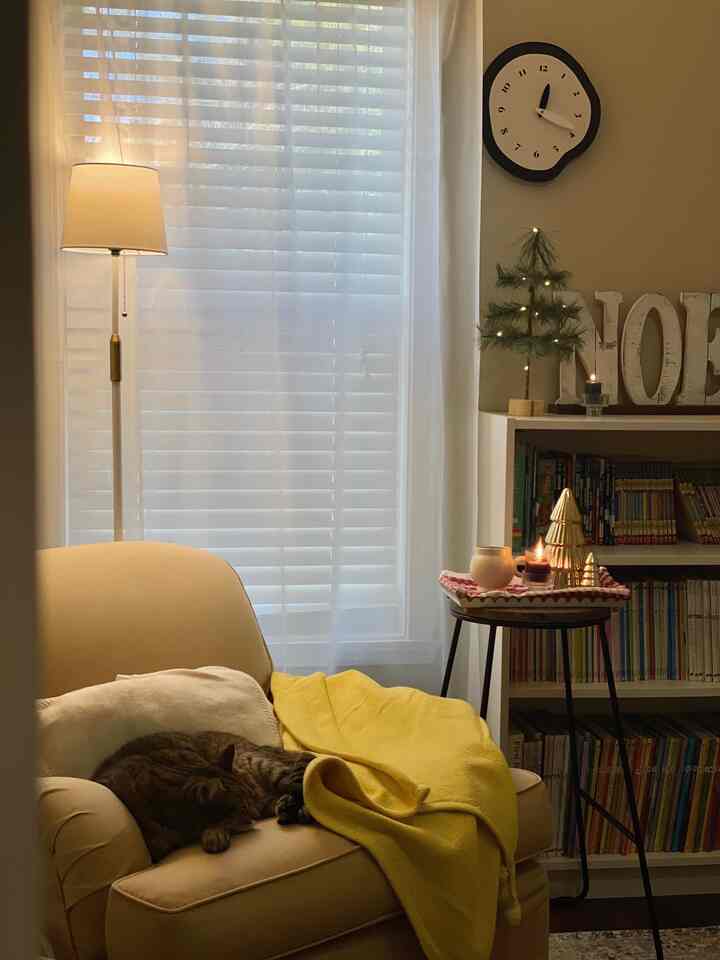 Tagged posts featuring No. 918 Store Emily Sheer Voile Tab Top Curtain Panel (Multiple options) 3