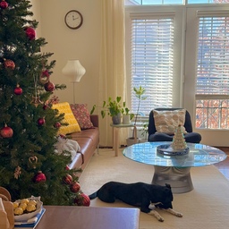 A sunny Christmas Eve🎄
#OhouseRug #OhouseCozy #CozyHome #midcenturymodern #mcm #NewYearReset #livingroominterior #christmas #livingroomfurniture #knoll #table #coffeetable #lamp #homedecor #colorinterior #ikea #chair