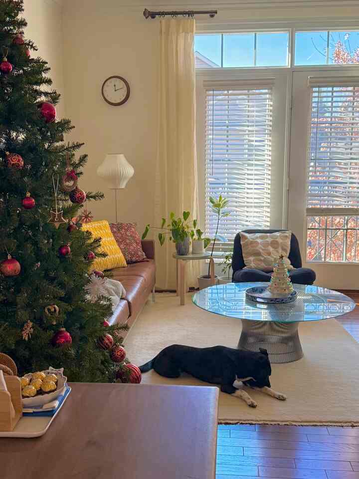 A sunny Christmas Eve🎄

#OhouseRug #OhouseCozy #CozyHome #midcenturymodern #mcm #NewYearReset #livingroominterior #christmas #livingroomfurniture #knoll #table #coffeetable #lamp #homedecor #colorinterior #ikea #chair