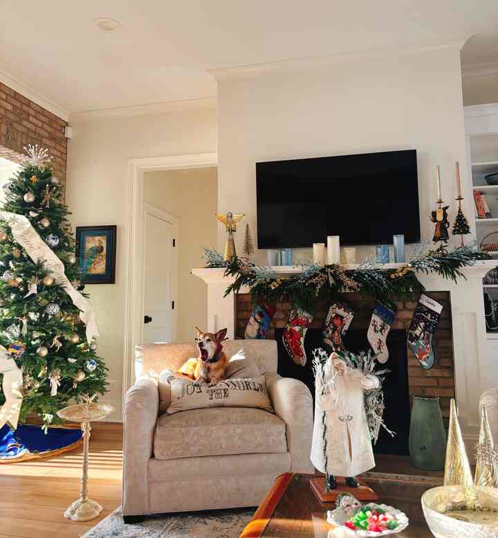 So peaceful.. 
she made me yawn as well😅


#holidaydecor #christmasdecor #christmastree #christmasdecorations #cozyvibe #holidayvibe #christmasvibe
