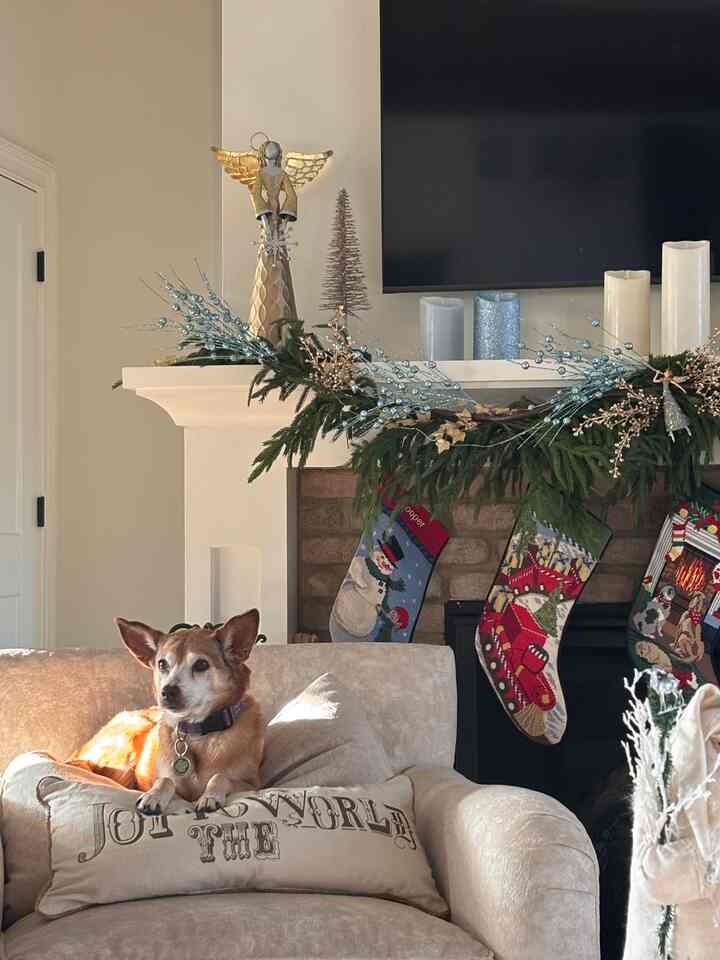 We stayed at my in-laws’ house this Christmas season.

I’ve said this before, but I’ll say it again—this home is my biggest inspiration for decor.
My mother-in-law takes such loving care of her space, and it always inspires me.

I’m happy I get to share a little piece of it with you 🤍




#cozyvibe #holidayvibe #christmasvibe #christmastree #christmasdecor #holidaydecor #cozyhome