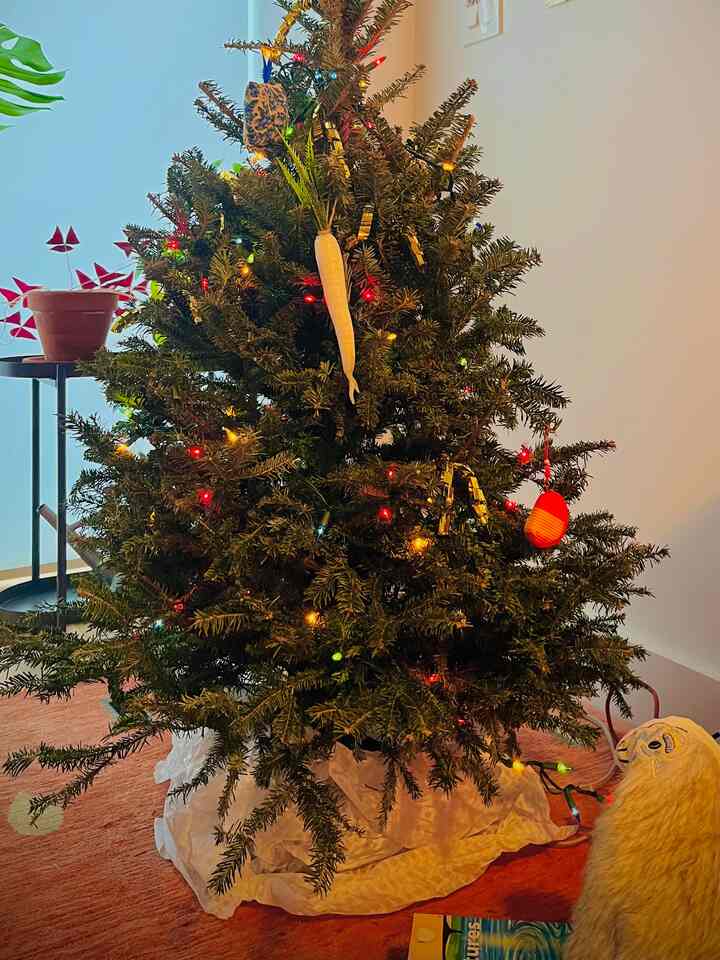 Tagged posts featuring 100ct Incandescent Smooth Mini Christmas String Lights 1