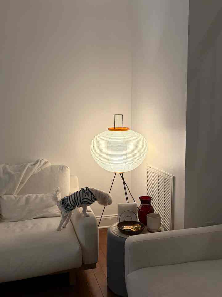 White and brown toned living room featuring white sofas and an Akari floor lamp, with a small dog perched on the sofa arm creating a cozy atmosphere