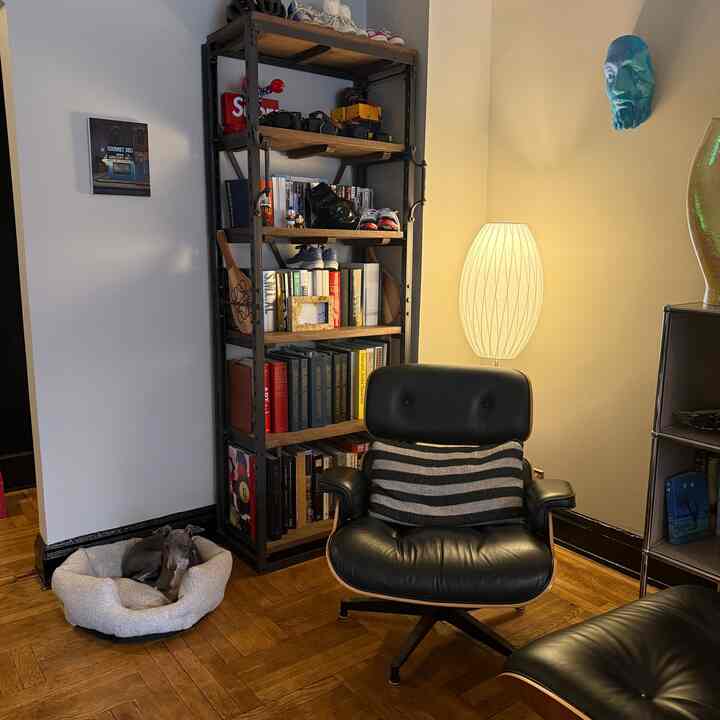 Warm wood-toned living room featuring modern furniture with a dog resting on a pet bed, creating a cozy atmosphere