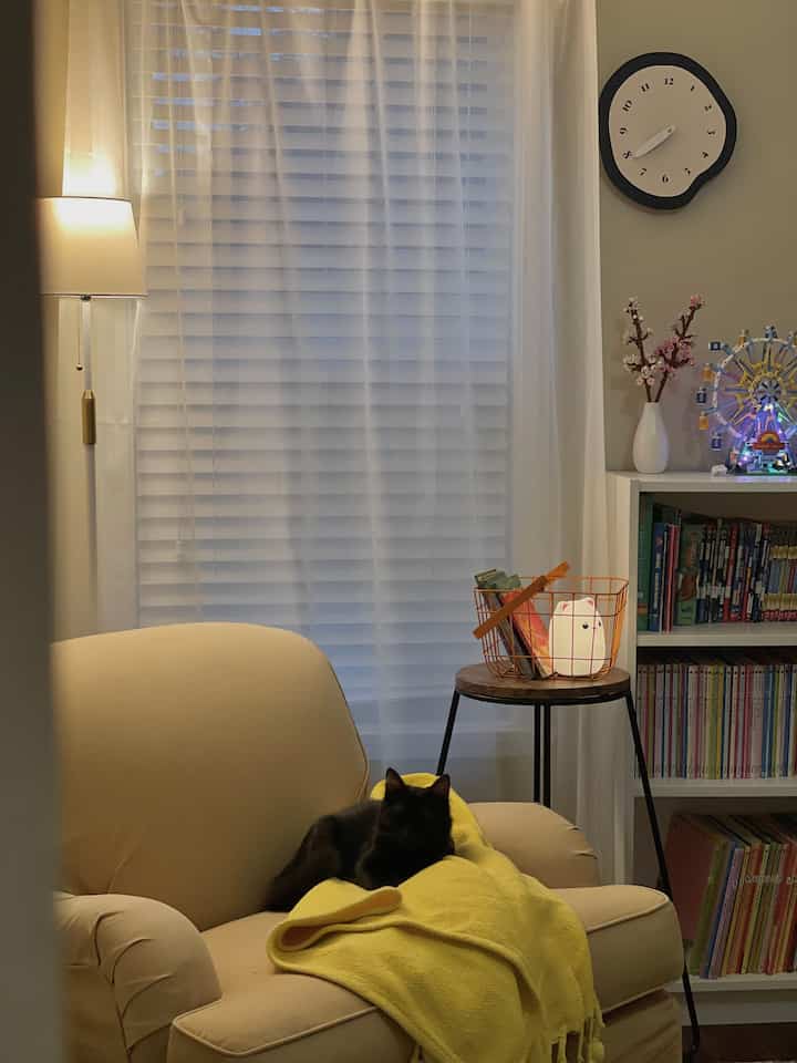 Tagged posts featuring No. 918 Store Emily Sheer Voile Tab Top Curtain Panel (Multiple options) 1