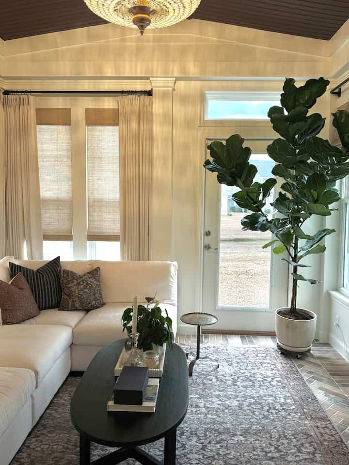 Natural toned living room featuring a large fiddle leaf fig tree and light-colored sofa with a cozy atmosphere