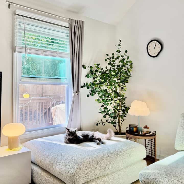 White and natural toned living room featuring a large plant, cozy ottoman with a cat lounging atop