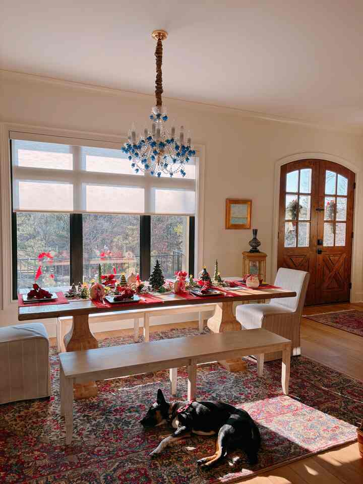 One peaceful afternoon..🤍


#diningdecor #cottage #cozyhome #holidaygather #christmsdecor