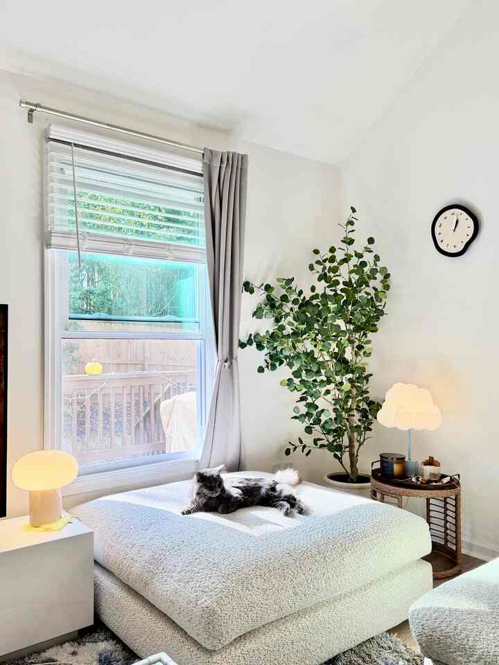 Bright white natural toned living room featuring a cat lounging near window, floor lamp, and wall clock with cozy ambiance