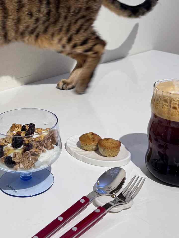 Jet lag mode: still productive!

#cutlery #kitchenware #ohousereset #tablestyling