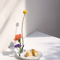 Chasing soft daylight🌷✨
#kitchenware #dinnerware #cozyhome #tablesetting #ohousereset