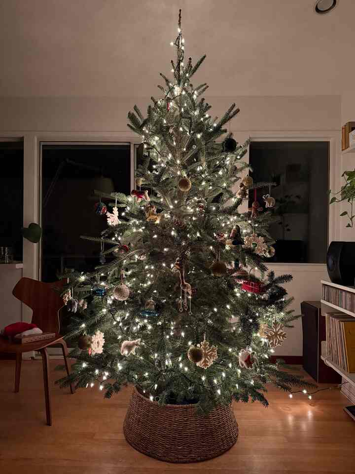 Natural-colored living room featuring a warmly lit Christmas tree with string lights on a wood tone floor creating a cozy atmosphere
